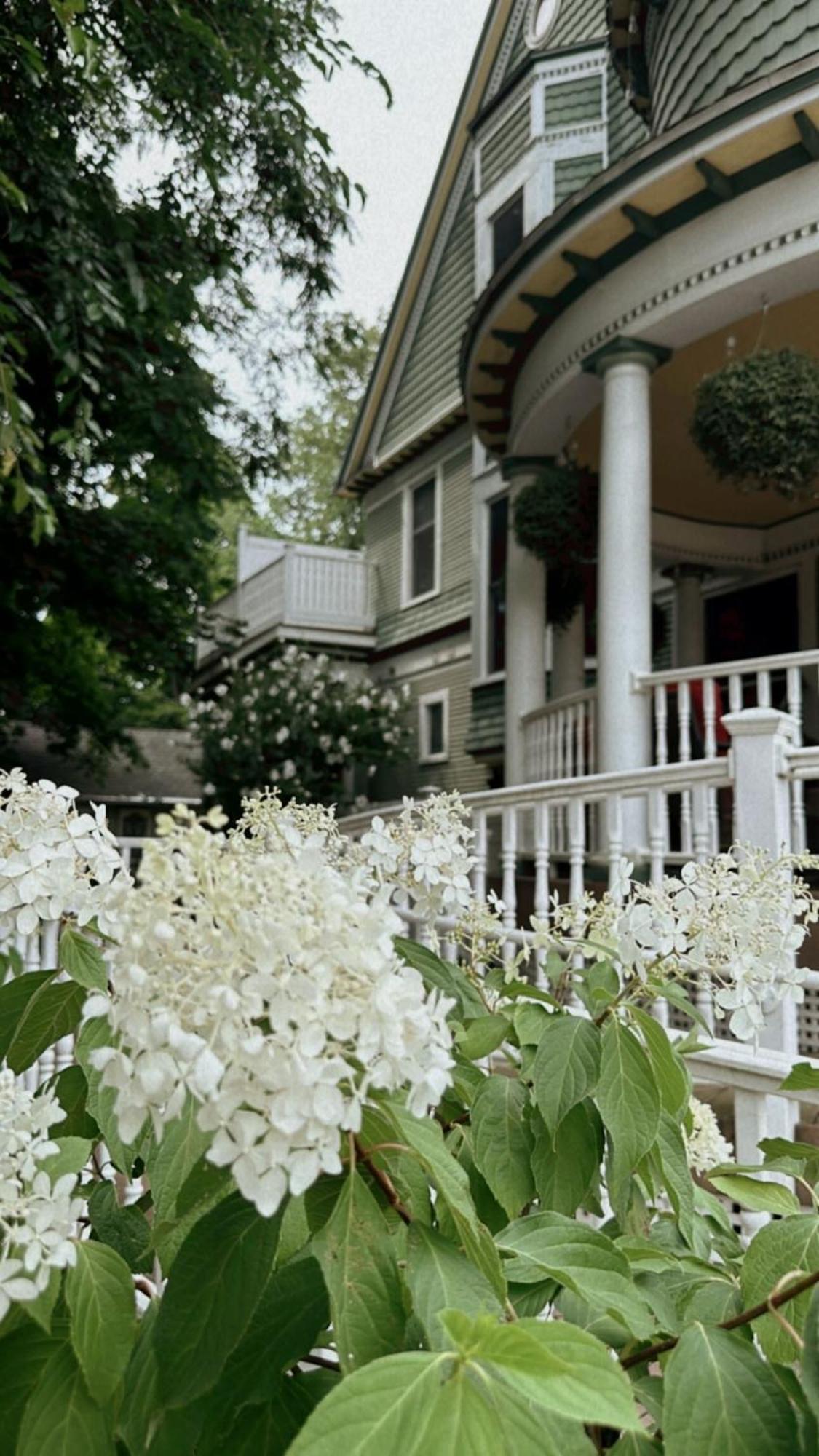 The Ginkgo Tree Bed & Breakfast Mount Pleasant Dış mekan fotoğraf